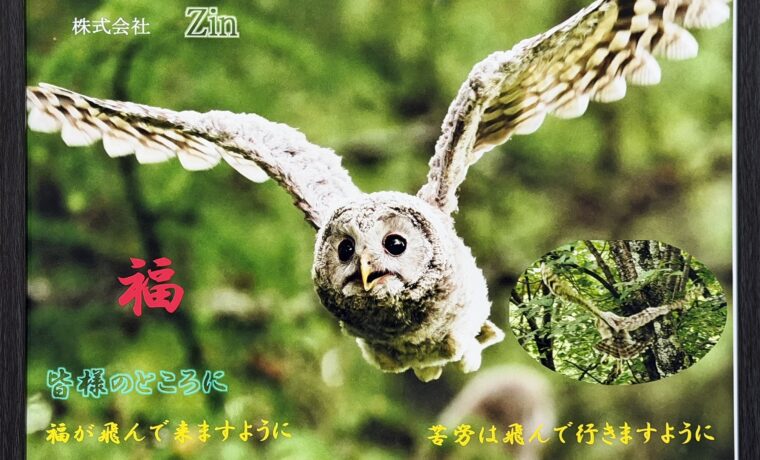 エゾフクロウ